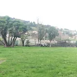 Las Palmeras