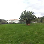 Las Palmeras
