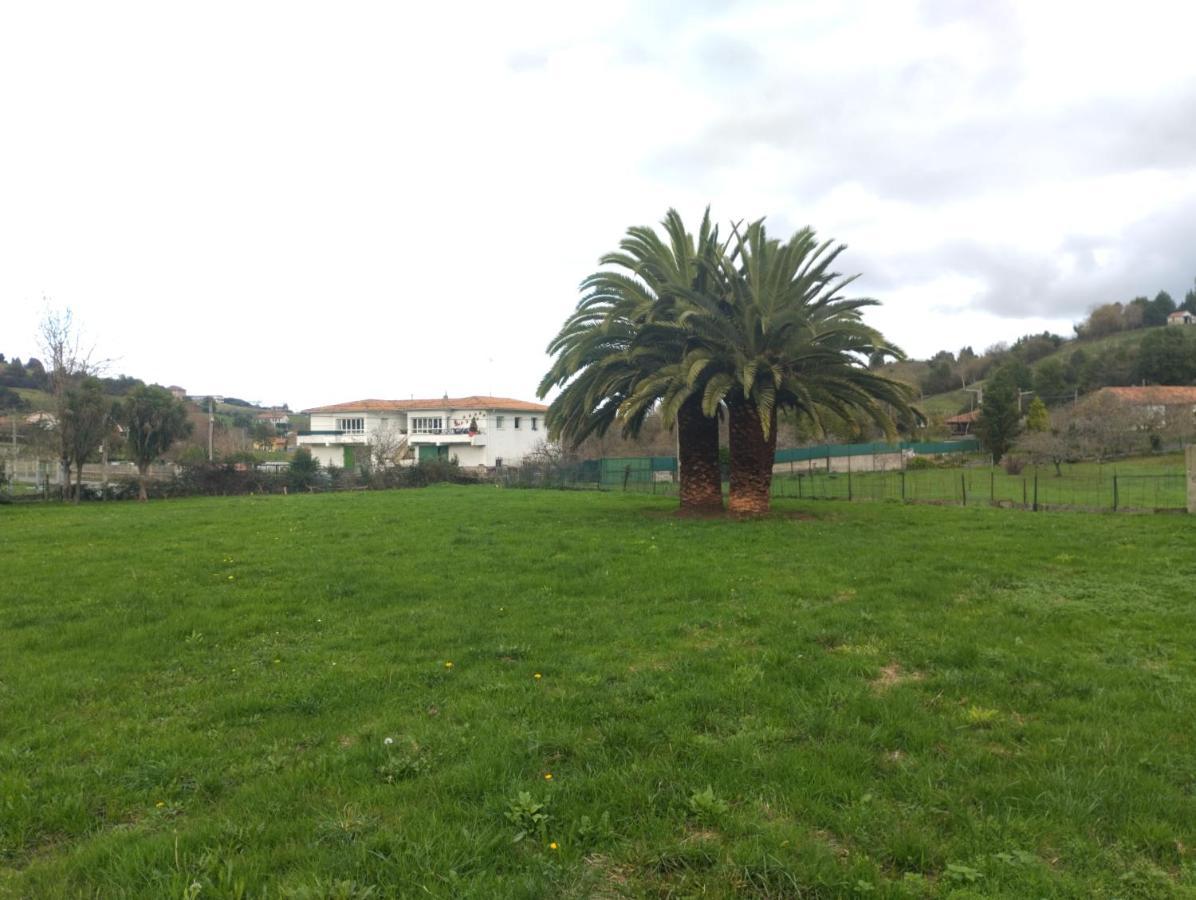 Las Palmeras Guest house *