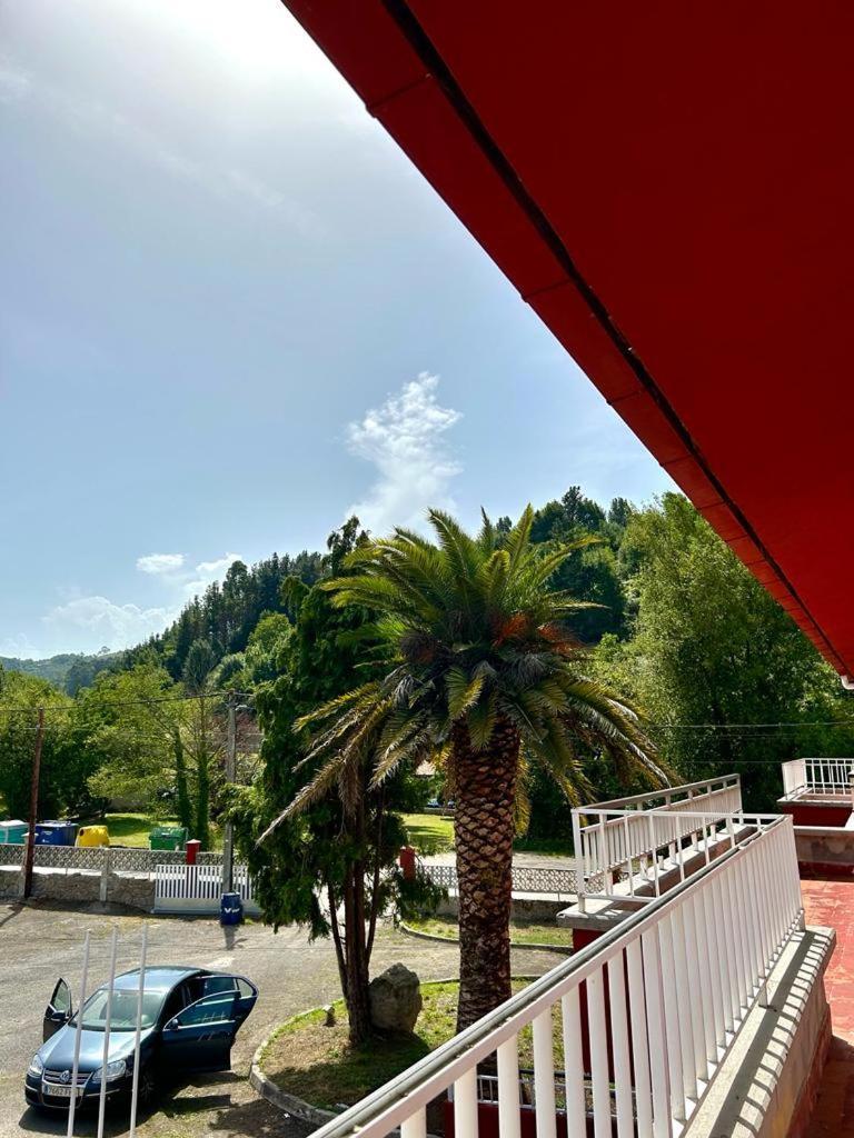 Guest house Las Palmeras Gijon